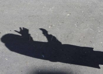 sombra