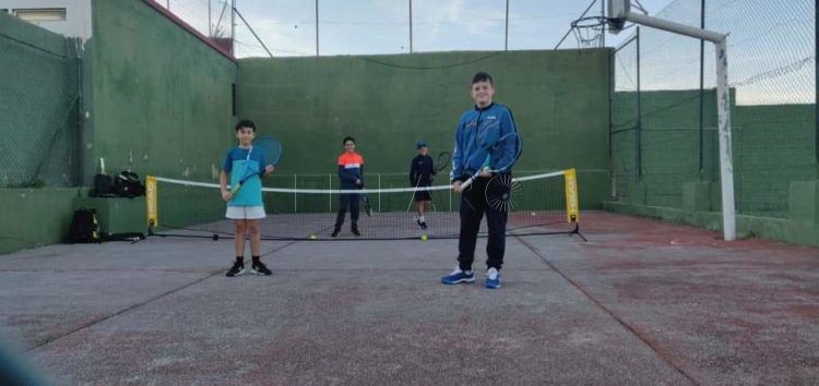 tenis
