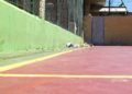 Mixto-33