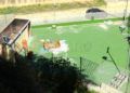 Mixto-7