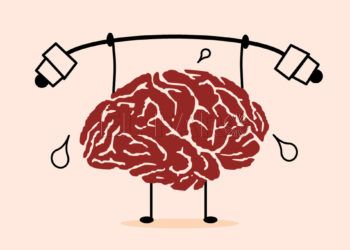 cerebro
