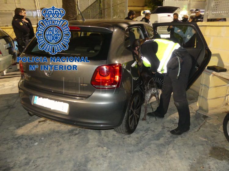 coche-navarra-hachis-1
