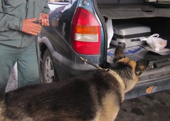 guardia-civil-control-drogas-puerto