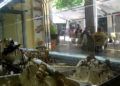 heladeria-estado-alarma-16