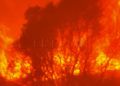 incendios-2019-1