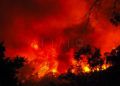 incendios-2019-3