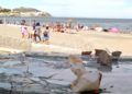 playa-tarajal-denuncian-abandono-8