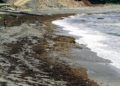 playa_almadraba_33
