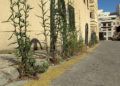 real-90-vegetacion-basura-7