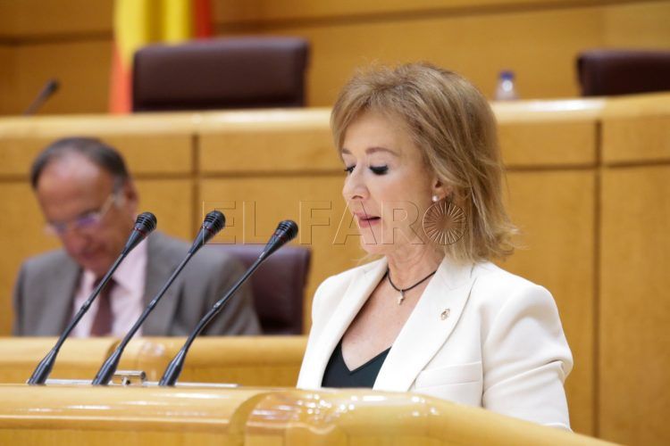 senadora-yolanda-merelo-vox-senado-3