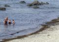 algas-playas-calamocarro-benzu-1