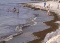 algas-playas-calamocarro-benzu-4