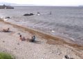 algas-playas-calamocarro-benzu-7