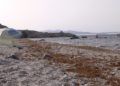 algas-playas-calamocarro-benzu-8