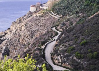 camino-ronda