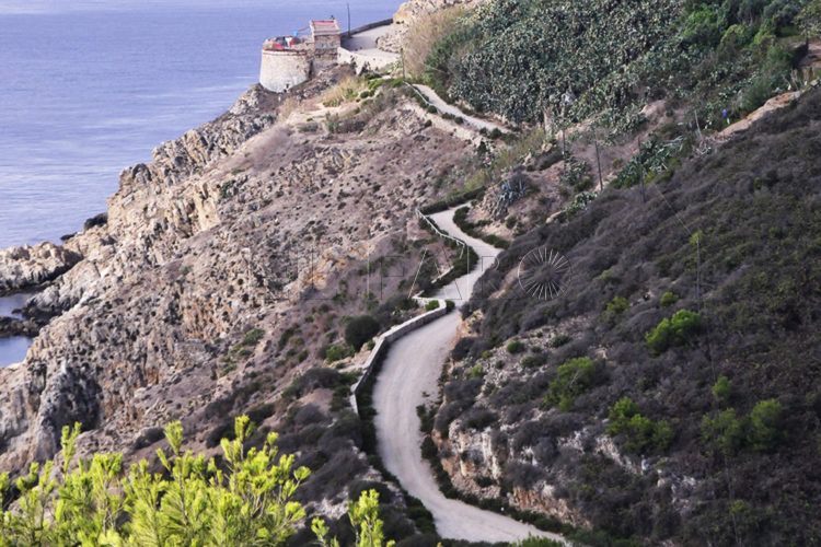 camino-ronda