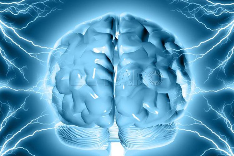 epilepsia