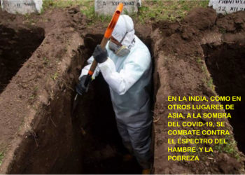 maroto-asia-coronavirus-1