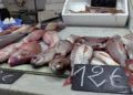 mercado-central-pescaderos-virgen-carmen-2