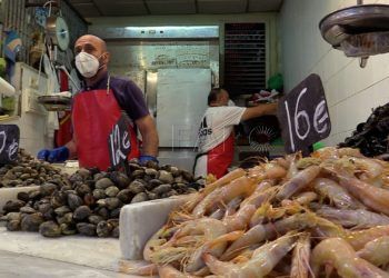 mercado-central-pescaderos-virgen-carmen-20