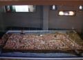 museo-basilica-tardorromana-reabre-coronavirus-10