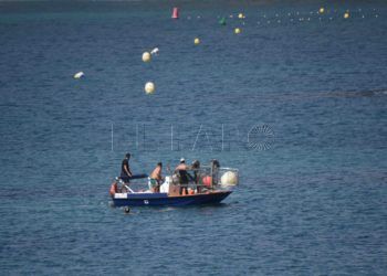 redes-antimedusas-playas-ceuta-11