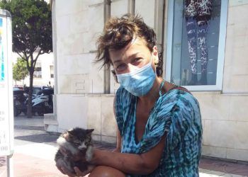 rescate-gato