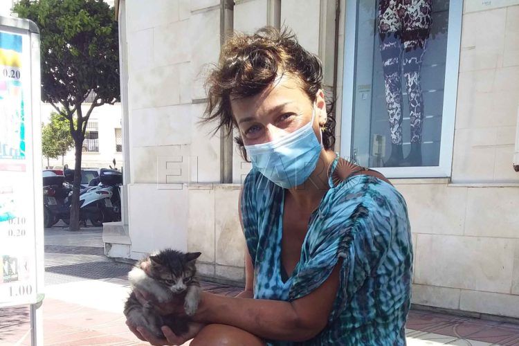 rescate-gato