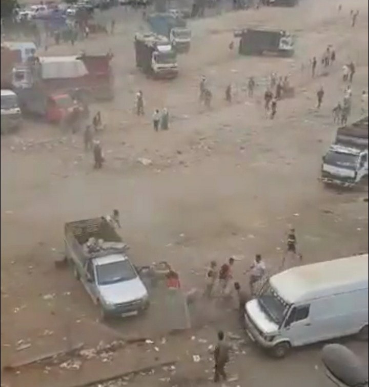 robo-borregos-detenidos-marruecos