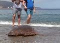 Tortuga-11