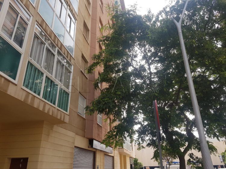barriadas-reclaman-podar-arboles-1