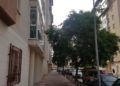 barriadas-reclaman-podar-arboles-2