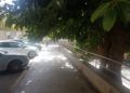 barriadas-reclaman-podar-arboles-5