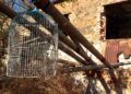 brull-abandono-okupacion-10
