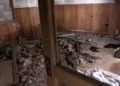 brull-abandono-okupacion-32