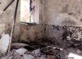 brull-abandono-okupacion-34