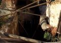brull-abandono-okupacion-8