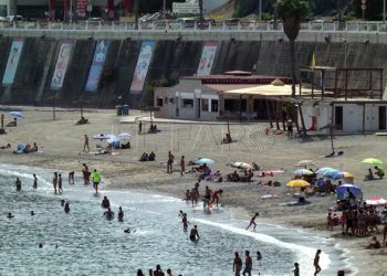 carabela-portuguesa-aparece-playa-ribera-8