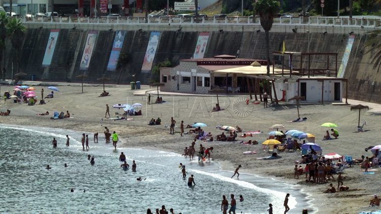 carabela-portuguesa-aparece-playa-ribera-8