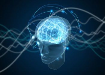 cerebro-mente-conciencia