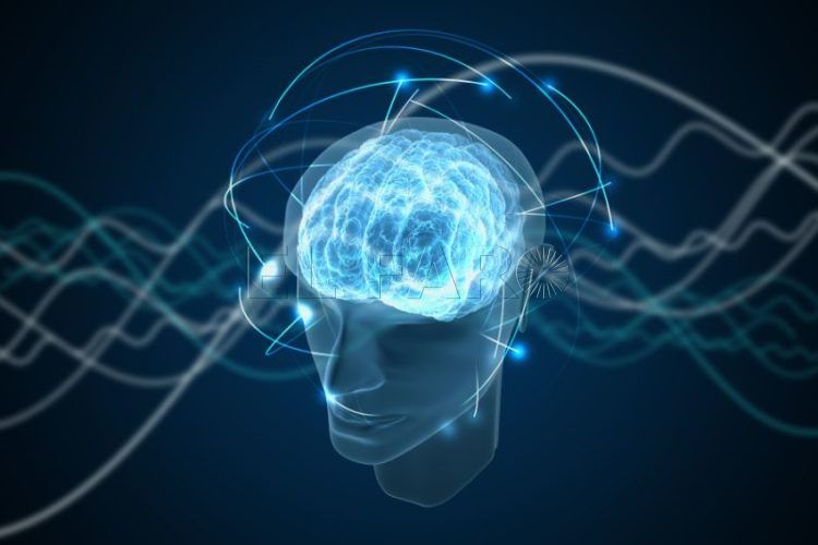 cerebro-mente-conciencia
