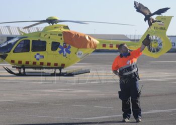 cetreria-helipuerto