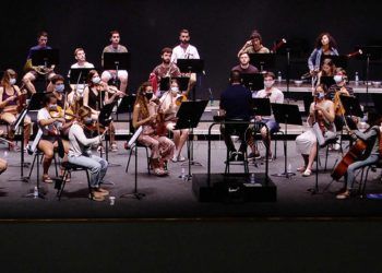 ciso-ensayo