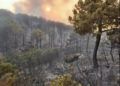 incendio-castillejos-3