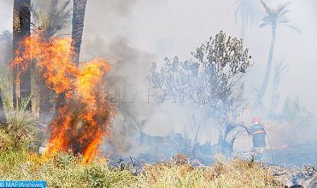incendio-castillejos-fuego