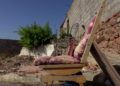 insalubridad-tejar-ingenieros-vecinos-denuncian-50