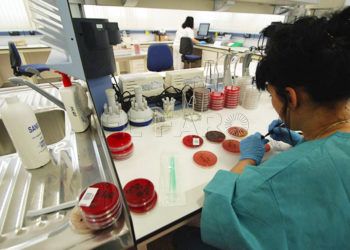 laboratorio