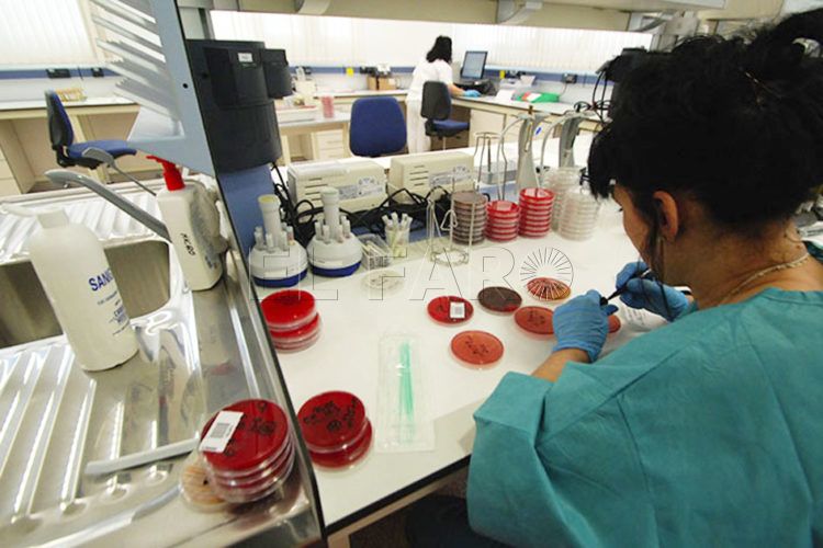 laboratorio