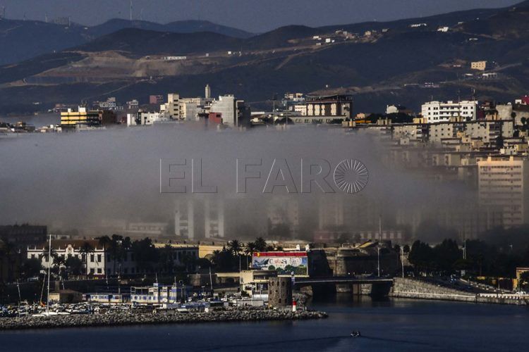 niebla