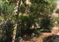parque-huerta-tellez-suciedad-3